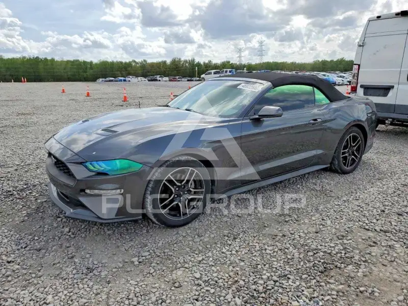 2019 Ford MUSTANG photo
