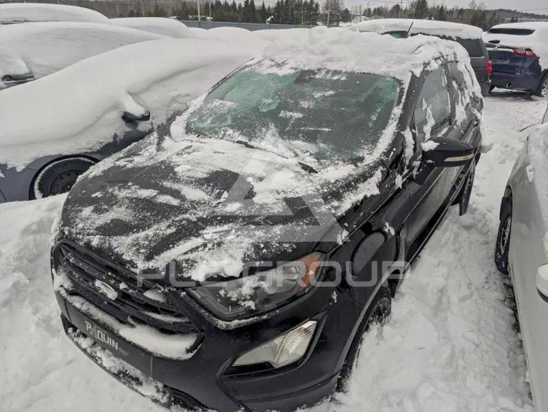 2019 Ford Eco Sport photo