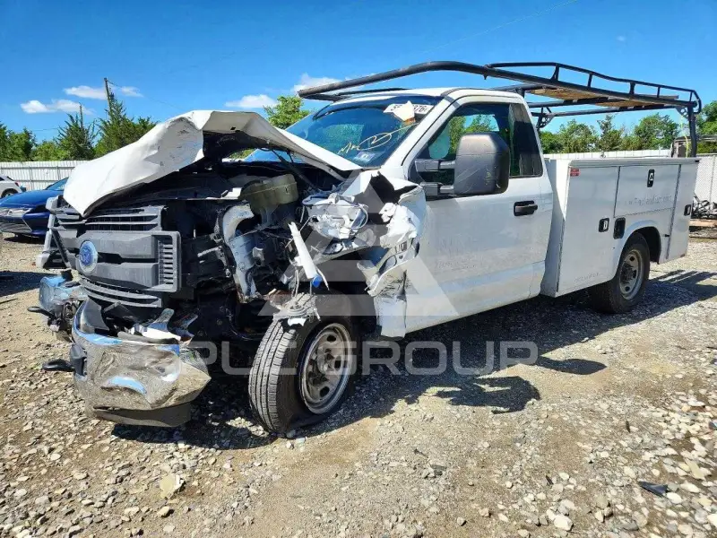 2019 Ford F-250 фото
