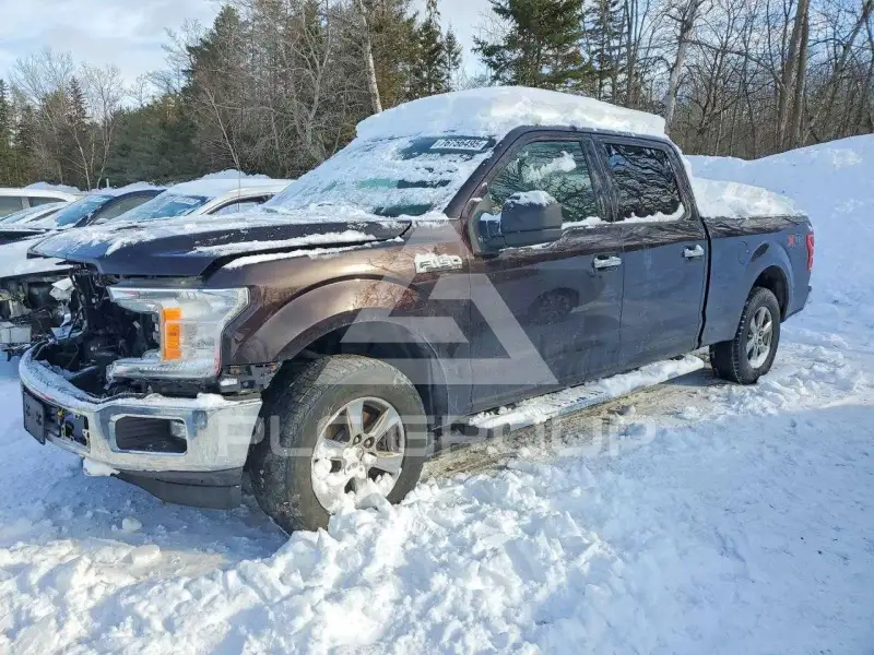 2019 Ford F-150 фото