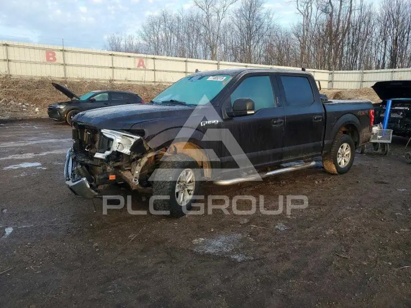 2019 Ford F-150 photo