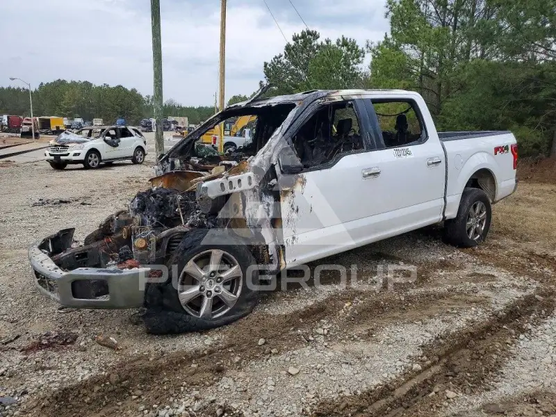 2019 Ford F-150 фото