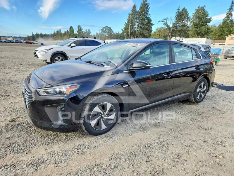 2019 Hyundai Ioniq photo