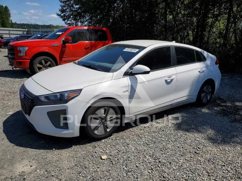 2019 Hyundai Ioniq фото