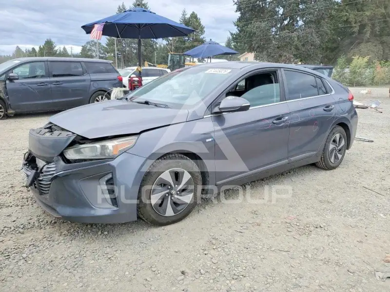 2019 Hyundai Ioniq фото