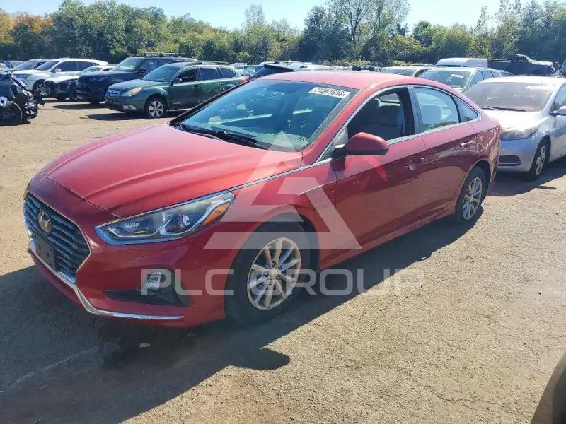 2019 Hyundai Sonata photo