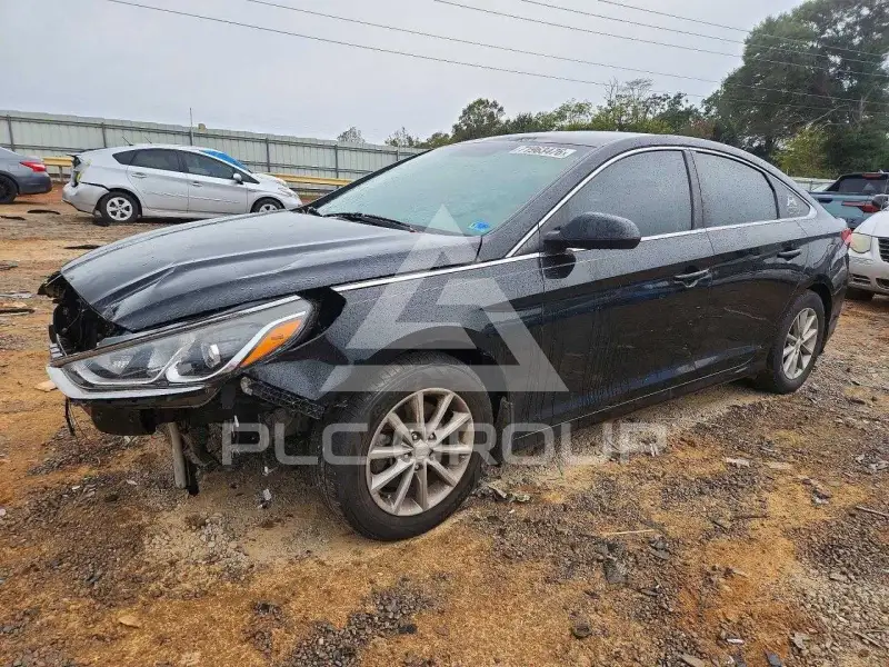 2019 Hyundai Sonata фото