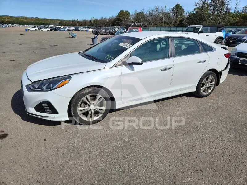 2019 Hyundai Sonata photo