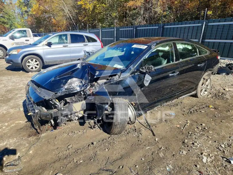 2019 Hyundai Sonata photo