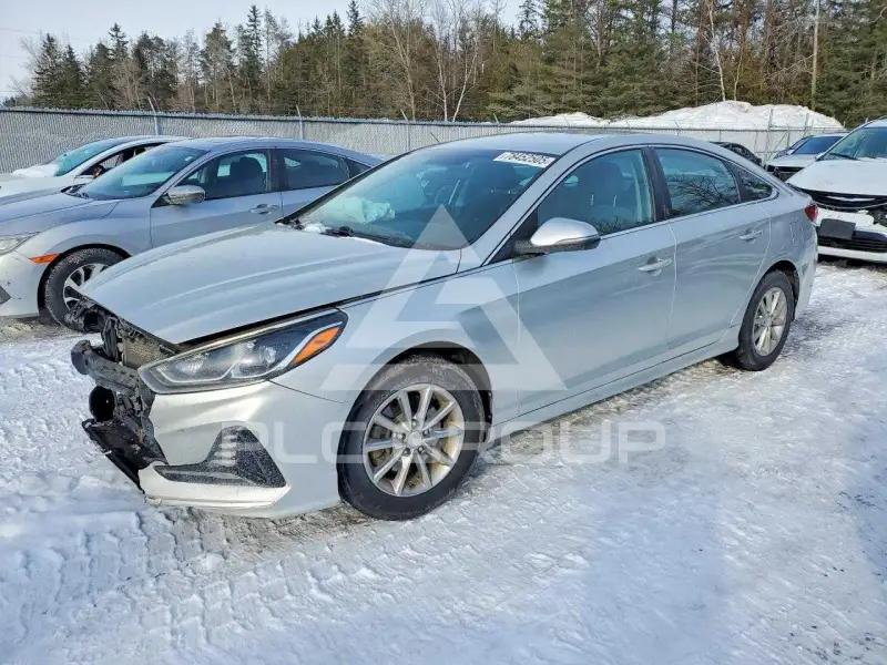 2019 Hyundai Sonata фото
