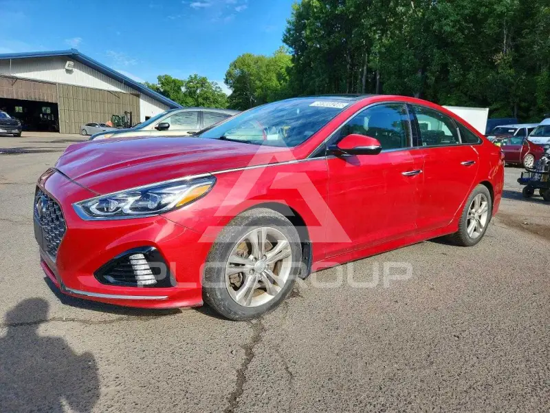 2019 Hyundai Sonata photo
