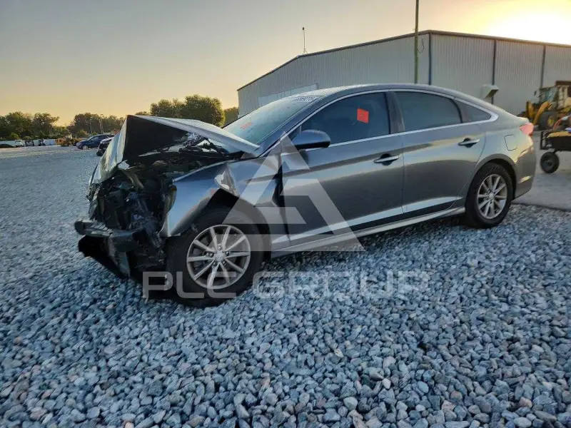 2019 Hyundai Sonata фото