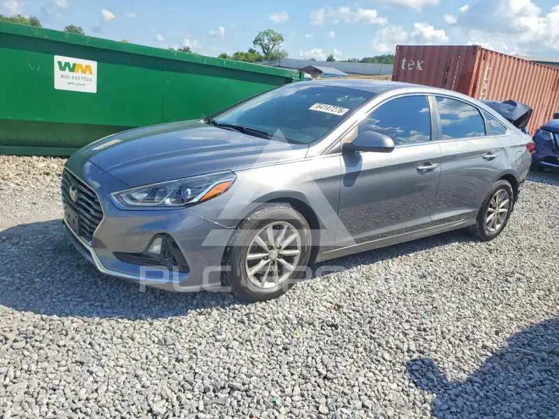 2019 Hyundai Sonata фото