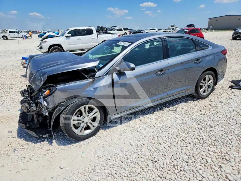 2019 Hyundai Sonata фото