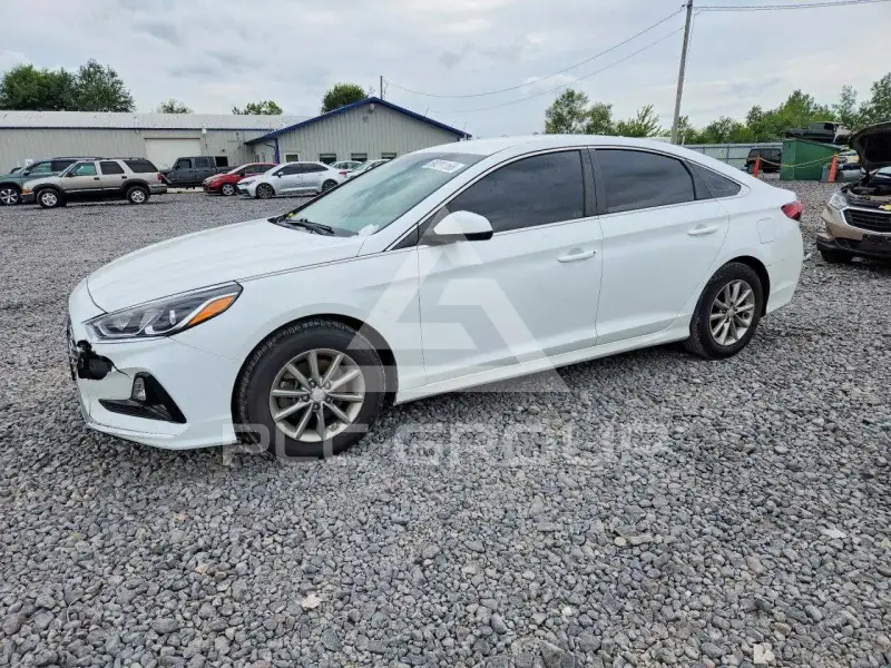 2019 Hyundai Sonata фото