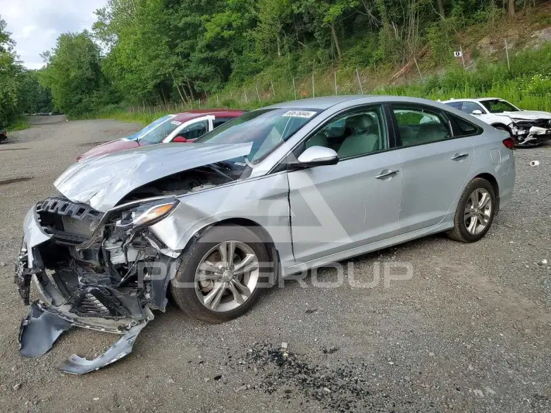 2019 Hyundai Sonata фото