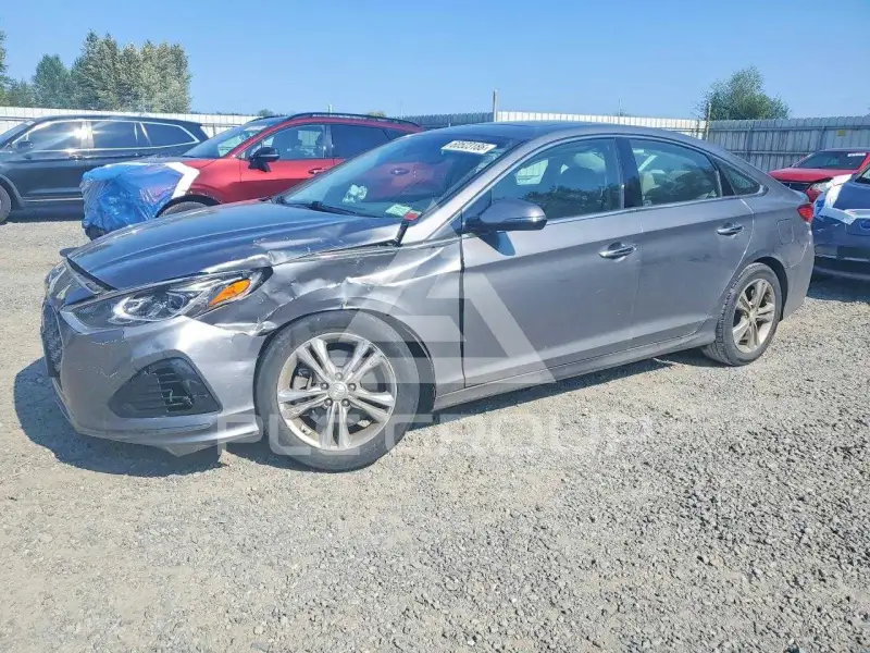 2019 Hyundai Sonata фото