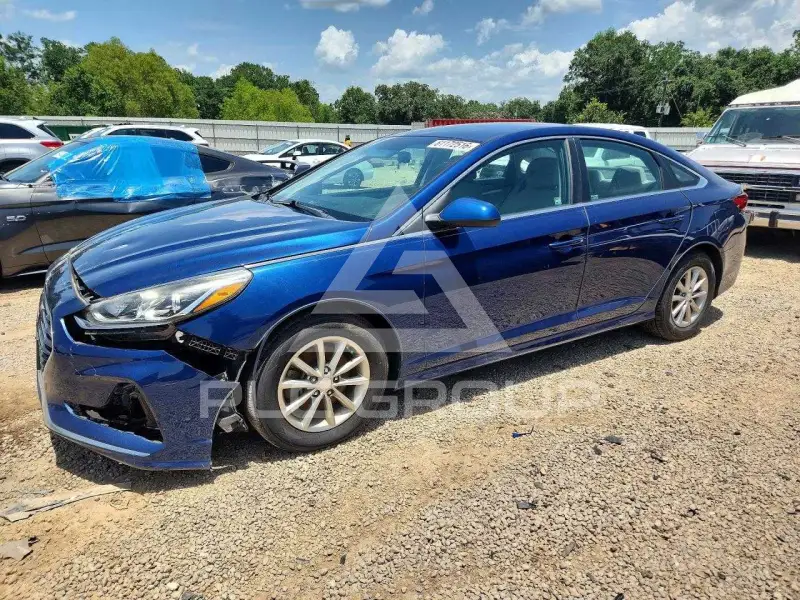 2019 Hyundai Sonata photo