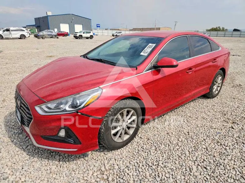 2019 Hyundai Sonata фото