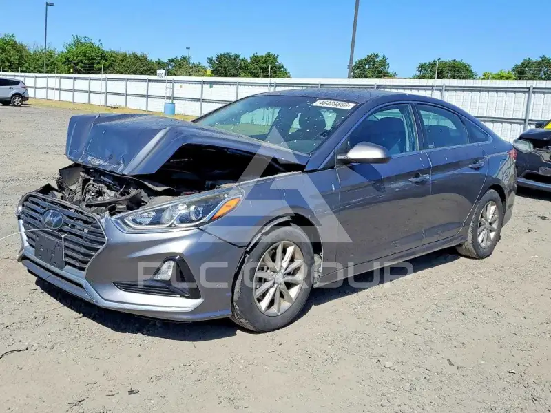 2019 Hyundai Sonata фото