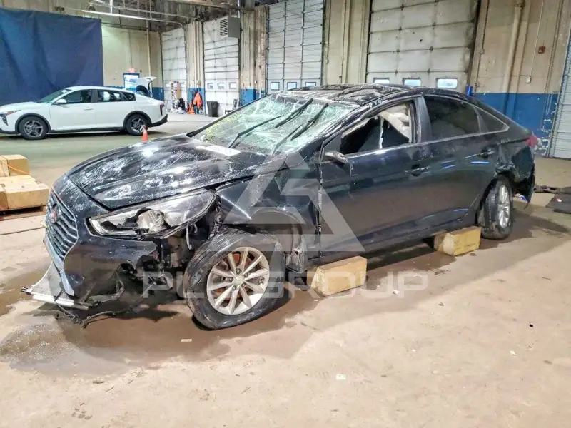 2019 Hyundai Sonata фото