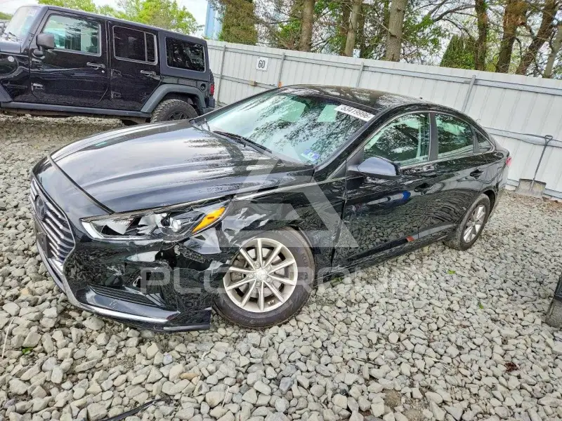 2019 Hyundai Sonata фото