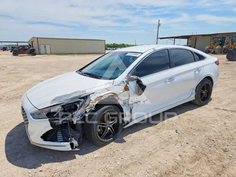 2019 Hyundai Sonata фото