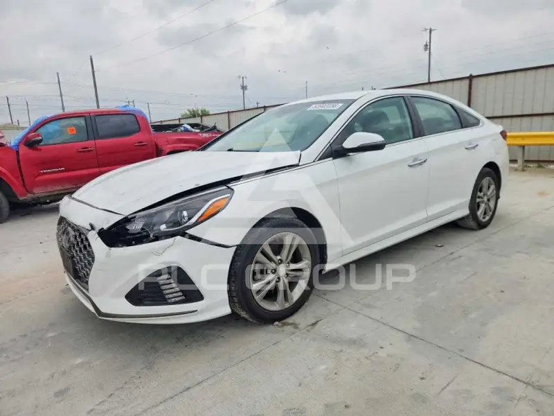2019 Hyundai Sonata фото