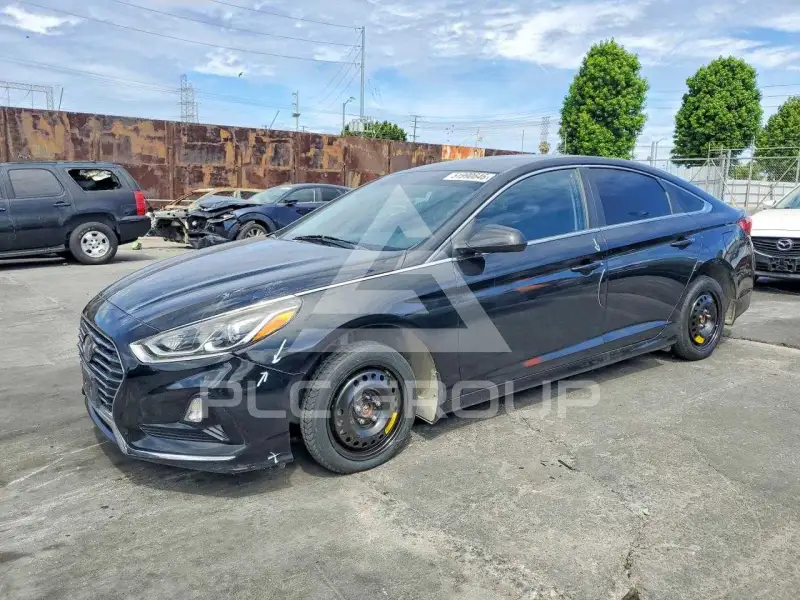 2019 Hyundai Sonata фото