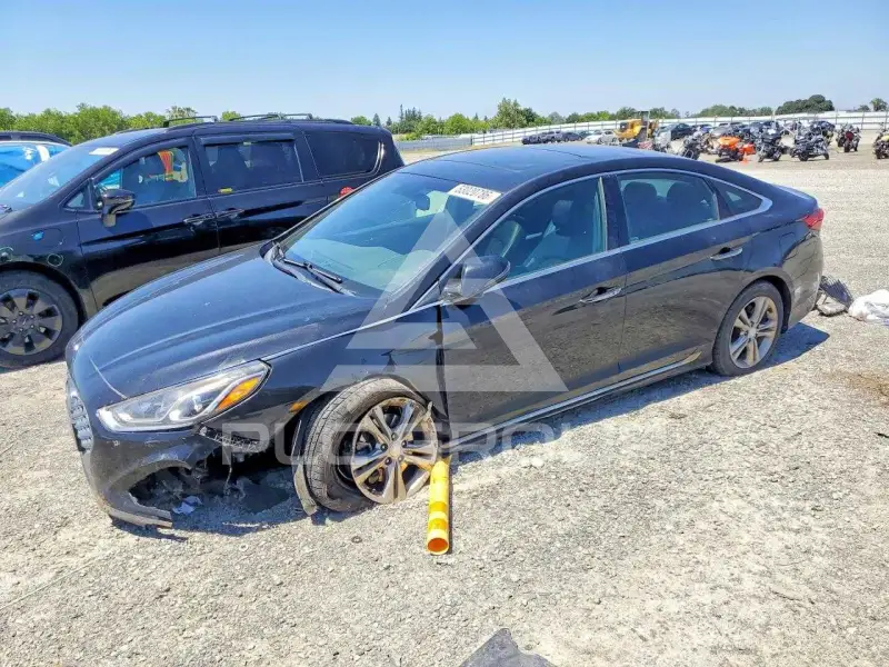 2019 Hyundai Sonata фото