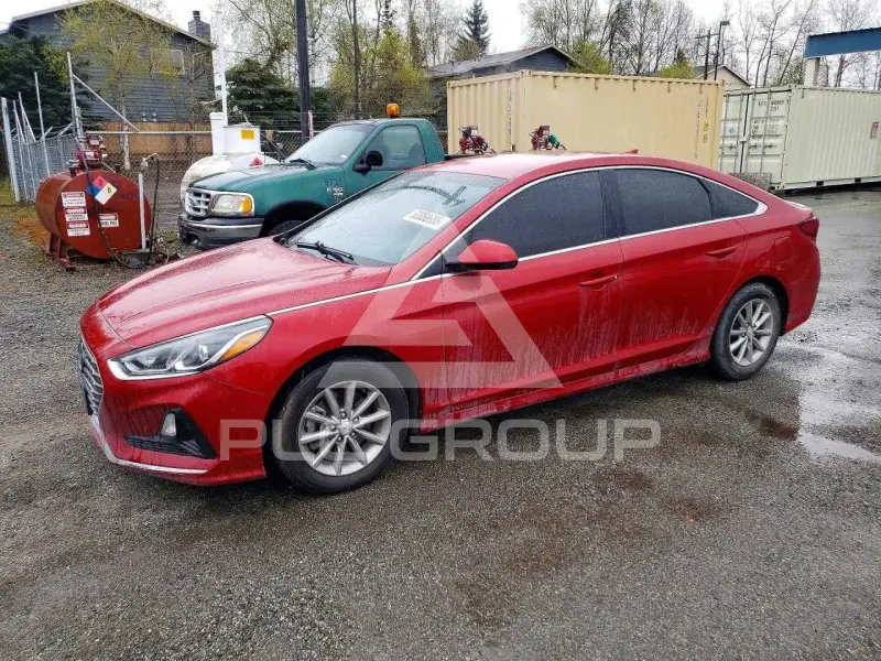 2019 Hyundai Sonata фото