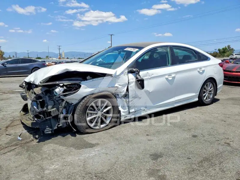 2019 Hyundai Sonata photo