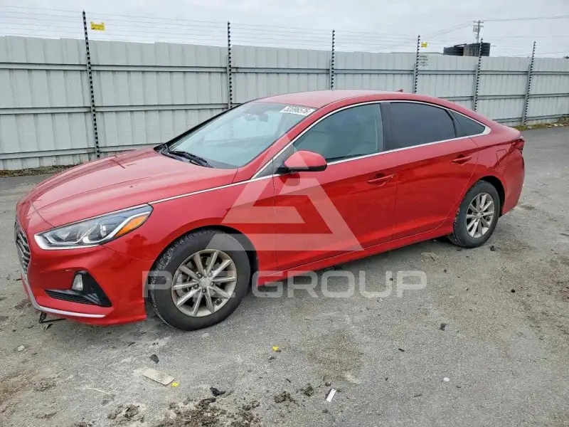 2019 Hyundai Sonata photo