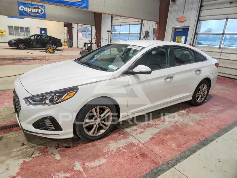 2019 Hyundai Sonata фото