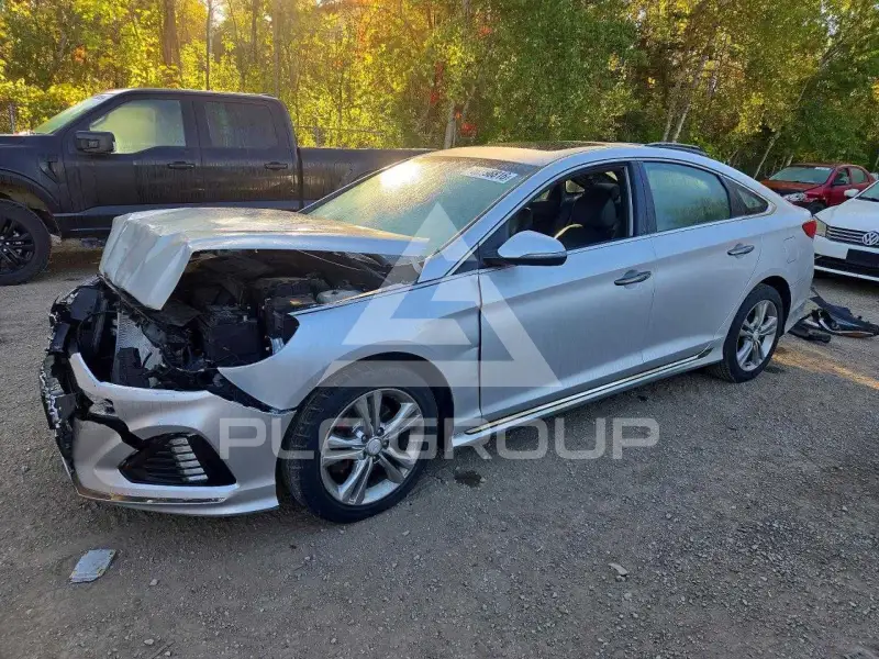 2019 Hyundai Sonata фото