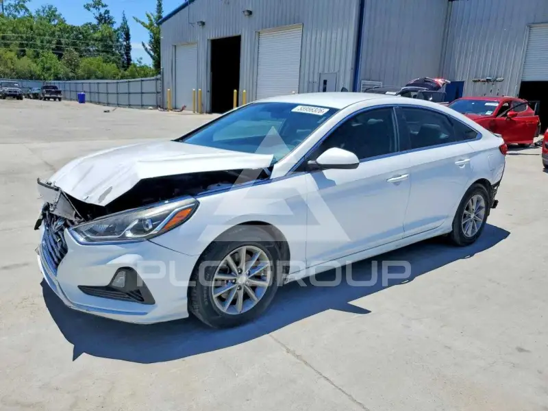 2019 Hyundai Sonata фото