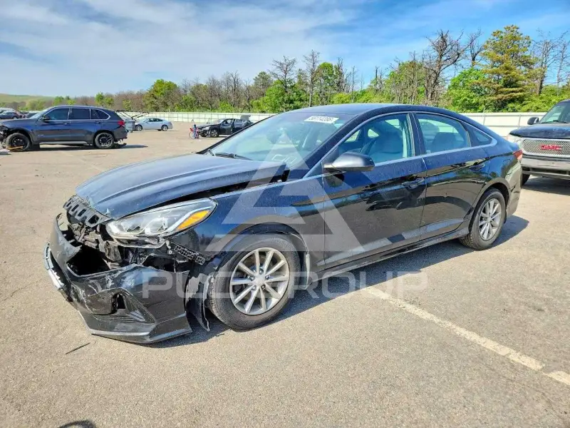 2019 Hyundai Sonata фото