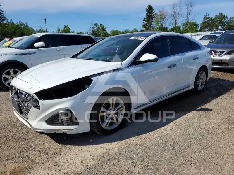 2019 Hyundai Sonata photo