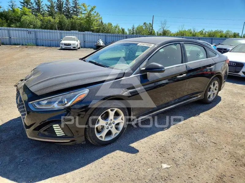 2019 Hyundai Sonata фото