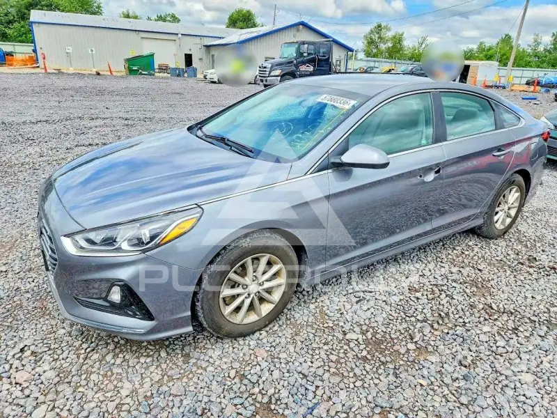2019 Hyundai Sonata фото