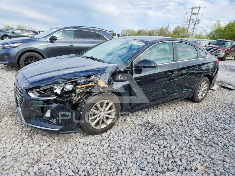 2019 Hyundai Sonata фото
