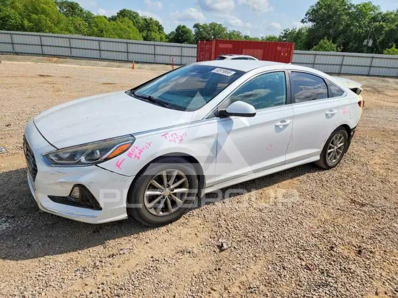 2019 Hyundai Sonata фото