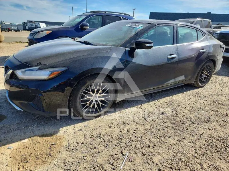 2020 Nissan MAXIMA фото