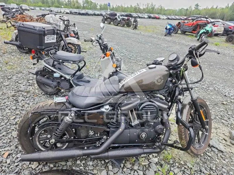 2020 Harley-Davidson XL883 фото