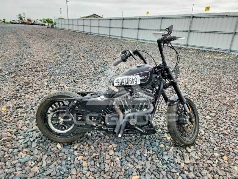 2020 Harley-Davidson Sportster120 фото