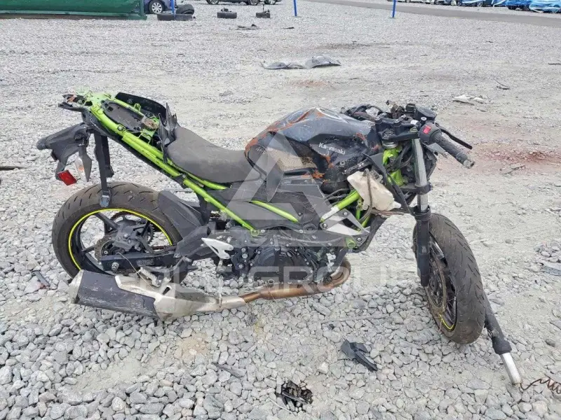 2020 Kawasaki  photo