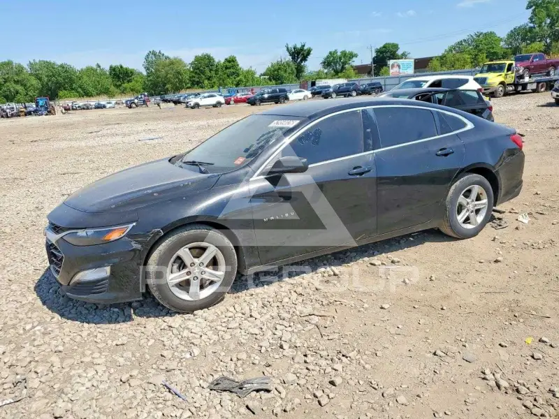 2020 Chevrolet Malibu фото