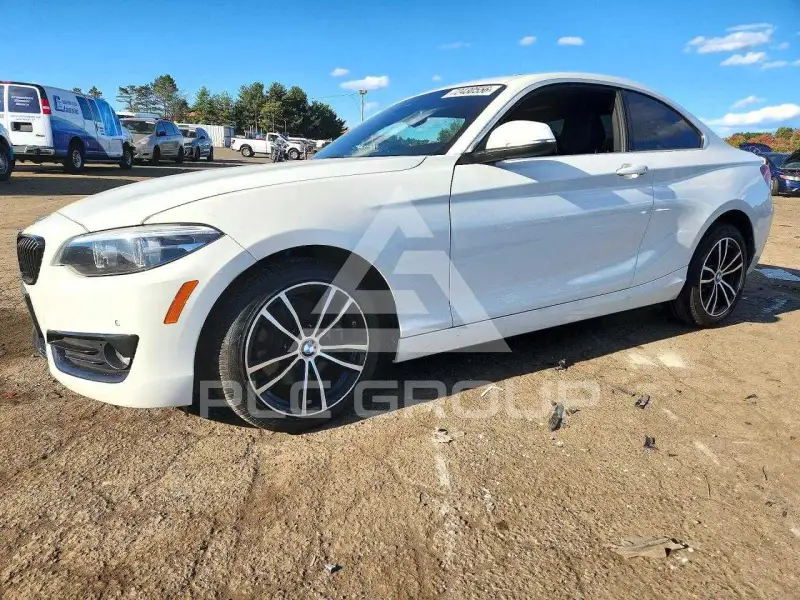 2020 BMW 230 photo