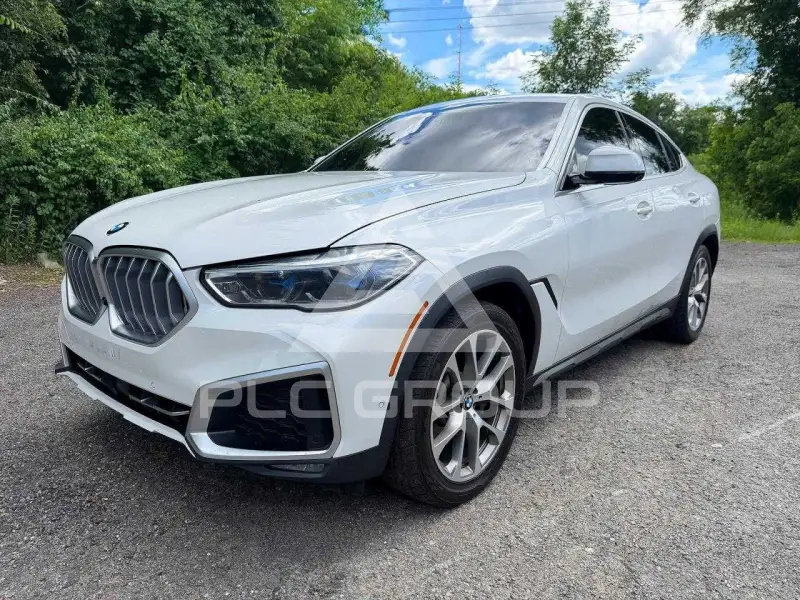 2020 BMW X6 photo