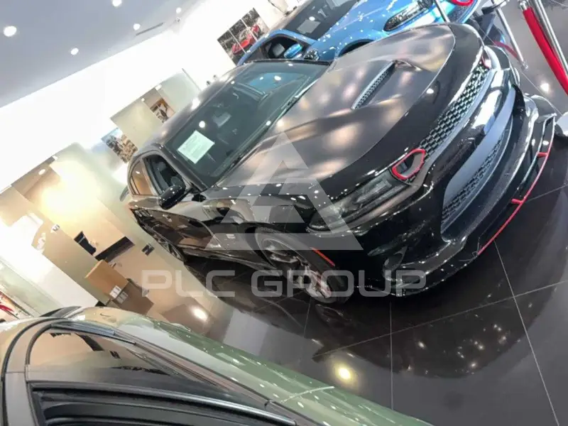 2020 Dodge CHARGER фото